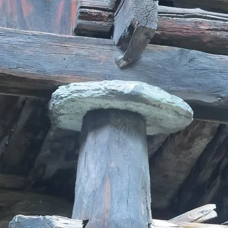 Fiernaz
